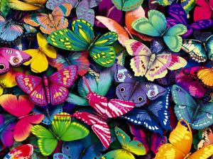 butterfly_-background_90007